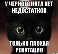 у черного кота нет недостатков только плохая репутация