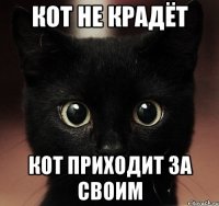 кот не крадёт кот приходит за своим