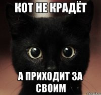 кот не крадёт а приходит за своим