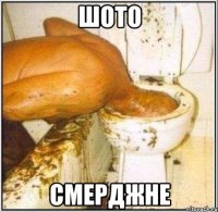 шото смерджне