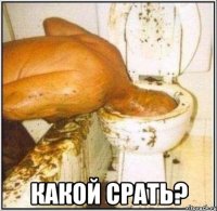  какой срать?