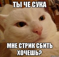 ты че сука мне стрик сбить хочешь?