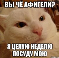 вы чё афигели? я целую неделю посуду мою