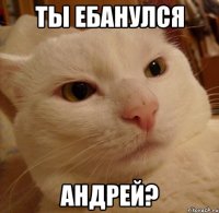 ты ебанулся андрей?