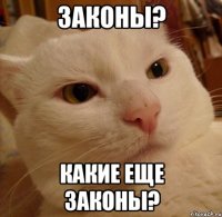 законы? какие еще законы?