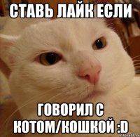 ставь лайк если говорил с котом/кошкой :d