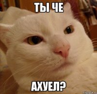 ты че ахуел?