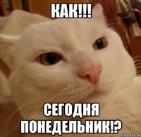 как!!! сегодня понедельник!?