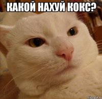 какой нахуй кокс? 