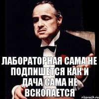 Лабораторная сама не подпишется как и дача сама не вскопается