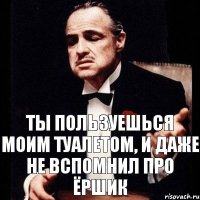 ты пользуешься моим туалетом, и даже не вспомнил про ёршик