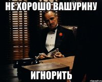 не хорошо вашурину игнорить