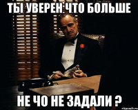 ты уверен что больше не чо не задали ?