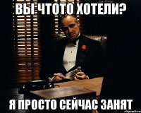 вы чтото хотели? я просто сейчас занят