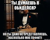 ты думаешь я обиделся? но ты даже не представляешь, насколько мне пофиг!!