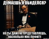 думаешь я обиделся? но ты даже не представляешь, насколько мне пофиг!!