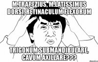 m.trapezius, m.latissimus dorsi, retinaculum flexorum trigonum submandibulare, cavum axillare???