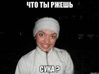 что ты ржешь сука ?