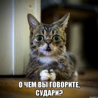  о чем вы говорите, судари?