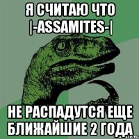 я считаю что |-assamites-| не распадутся еще ближайшие 2 года