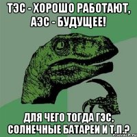 тэс - хорошо работают, аэс - будущее! для чего тогда гэс, солнечные батареи и т.п.?