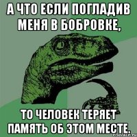 а что если погладив меня в бобровке, то человек теряет память об этом месте.