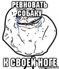 ревновать собаку к своей ноге