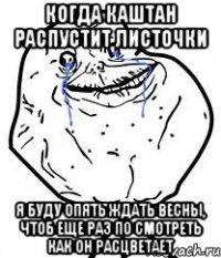 когда каштан распустит листочки я буду опять ждать весны, чтоб еще раз по смотреть как он расцветает