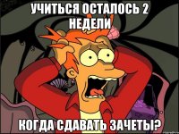 учиться осталось 2 недели когда сдавать зачеты?