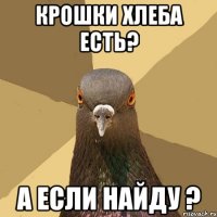 крошки хлеба есть? а если найду ?