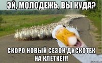 эй, молодежь, вы куда? скоро новый сезон дискотек на клетке!!!