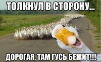 толкнул в сторону... дорогая, там гусь бежит!!!