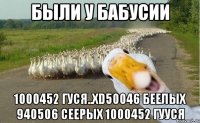 были у бабусии 1000452 гуся..xd50046 беелых 940506 сеерых 1000452 гууся