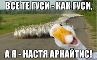 все те гуси - как гуси, а я - настя арнайтис!