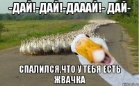 -дай!-дай!-дааай!- дай- спалился,что у тебя есть жвачка