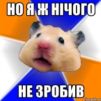 но я ж нічого не зробив