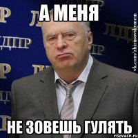 а меня не зовешь гулять