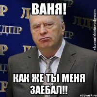 ваня! как же ты меня заебал!!