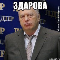 здарова 