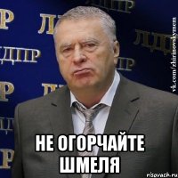  не огорчайте шмеля