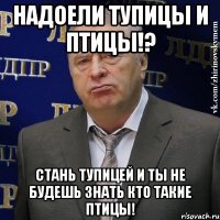 надоели тупицы и птицы!? стань тупицей и ты не будешь знать кто такие птицы!