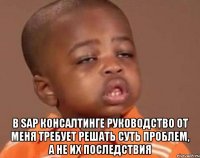  в sap консалтинге руководство от меня требует решать суть проблем, а не их последствия