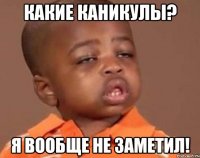 какие каникулы? я вообще не заметил!
