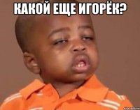 какой еще игорёк? 