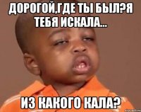 дорогой,где ты был?я тебя искала... из какого кала?