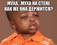муха...муха на стене как же она держится? 
