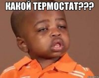 какой термостат??? 
