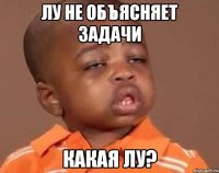 лу не объясняет задачи какая лу?