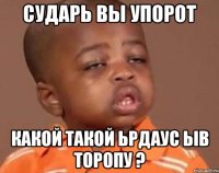 сударь вы упорот какой такой ьрдаус ыв торопу ?