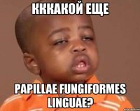 кккакой еще papillae fungiformes linguae?